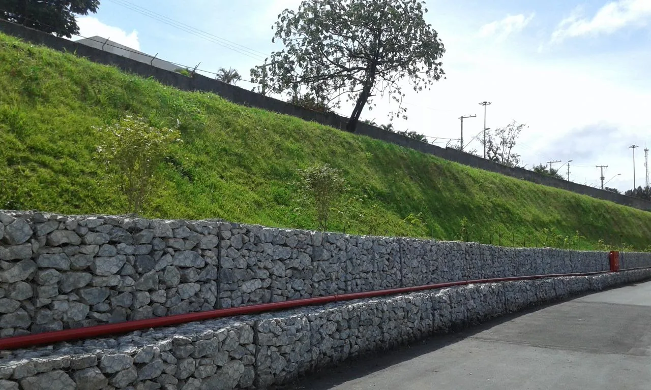 Hidrosemeadura Comum — foto 3
