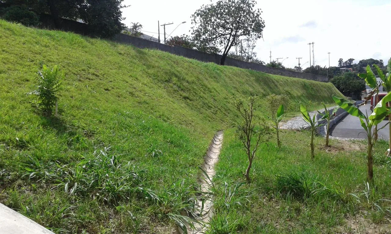 Hidrosemeadura Comum — foto 4