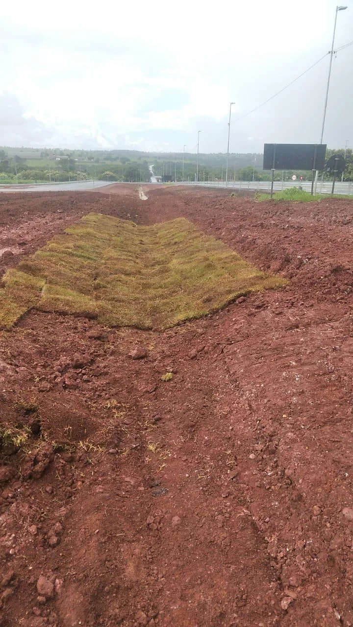 Plantio de Grama — foto 2